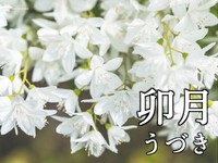 2024年04月01日（月）／晴れ 2024/04/01 08:30:17