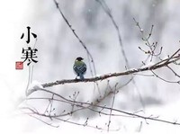 2024年01月06日（土）／曇り 2024/01/06 08:30:02