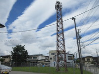 2024年06月19日（水）／晴れ 2024/06/19 08:30:24