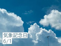 2024年06月01日（土）／晴れ 2024/06/01 08:30:06