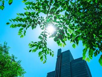 2024年07月03日（水）／曇りのち晴れ 2024/07/03 08:30:23
