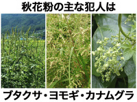 2024年09月28日（土）／曇り 2024/09/28 08:30:23