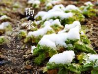 2024年02月19日（月）／曇りのち雨 2024/02/19 08:30:02