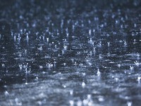 2024年06月02日（日）／雨のち晴れ 2024/06/02 08:30:12