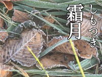 2024年11月01日（金）／曇りのち雨 2024/11/01 08:29:38