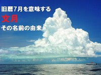 2024年07月01日（月）／雨時々曇り 2024/07/01 08:30:46