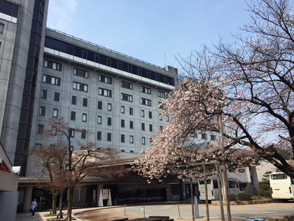 桜の開花