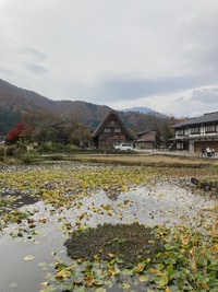 Aコープ白川店さんに出店しています。