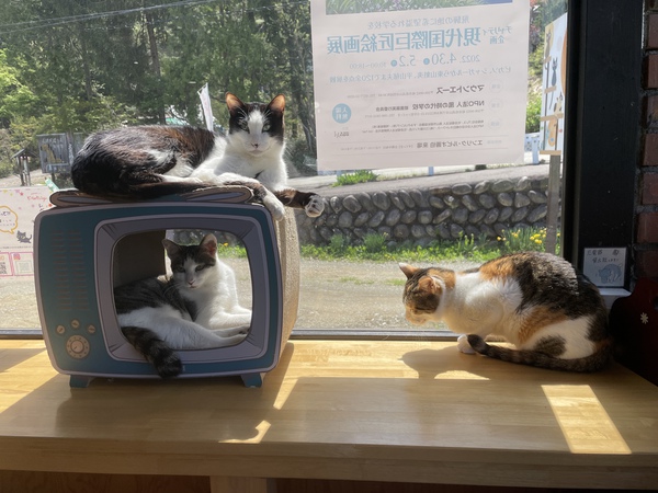 GWの過ごし方は？？