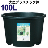 【もらってください】でっかい植木鉢【営業外】 2021/09/20 22:38:59