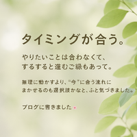タイミングって、不思議。合うときは、スルスル進むから面白い 2025/05/06 08:00:00