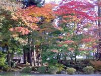 紅葉、殿様の御庭