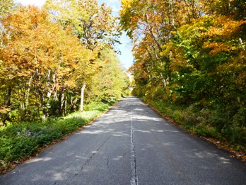 紅葉の季節到来