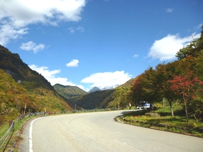 紅葉の季節到来