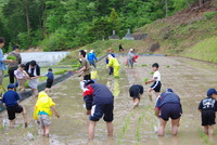 神の雫の種　〜田植え〜