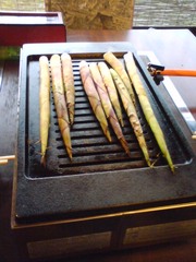 飛騨の山から・・・