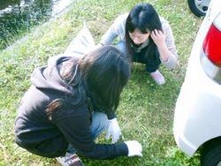 川掃除