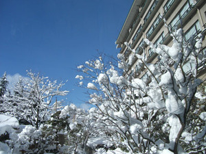 大雪の朝レポート