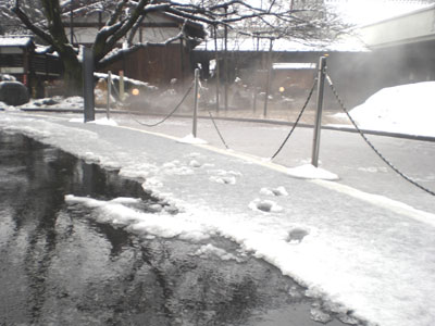 ２月なのに雨・・・