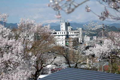 さくら探検　＝東照宮（旧松泰寺）境内＝