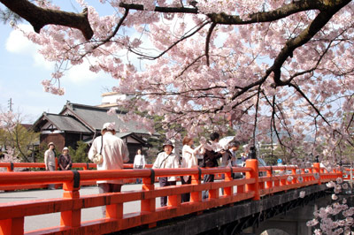 さくら探検　＝赤い中橋＝