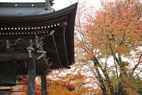 飛騨高山は紅葉の見ごろに