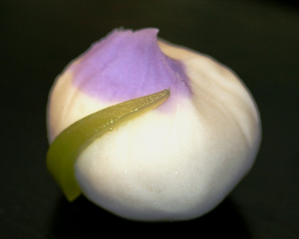 五月の和菓子