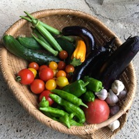 ともときファーム 高山ウリスのいろいろ体験 2019/08/09 18:31:19