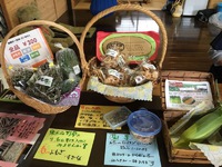 ともときファーム 高山ウリスさんといろいろ体験しませんか？ 2019/08/12 19:14:16
