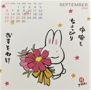 ▲毎年大人気！！CDカレンダー入荷！！▲