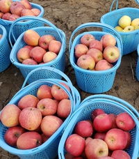 長野県支援活動11月16日 2019/11/16 19:22:22