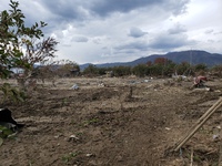 長野県支援活動11月11日 2019/11/11 20:26:18