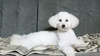 雨とサヨナラ～ 2018/07/09 07:30:00