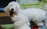 だから汚れる・・・(T-T) 2018/07/30 17:09:00
