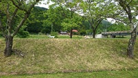 雨なのに 2018/05/30 10:35:06