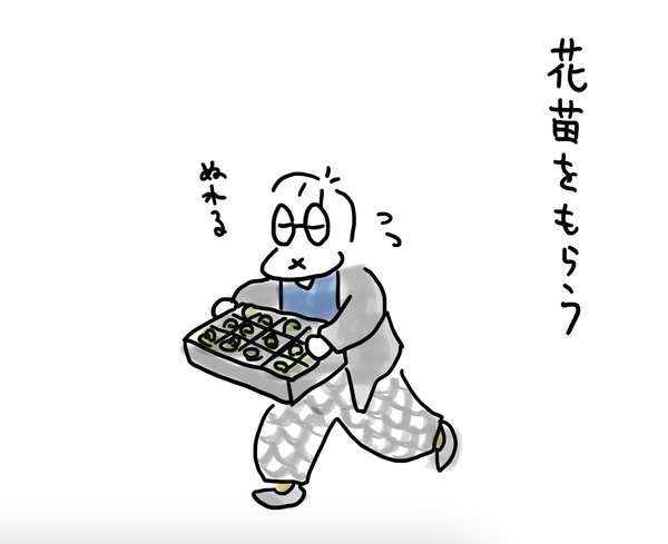 苗