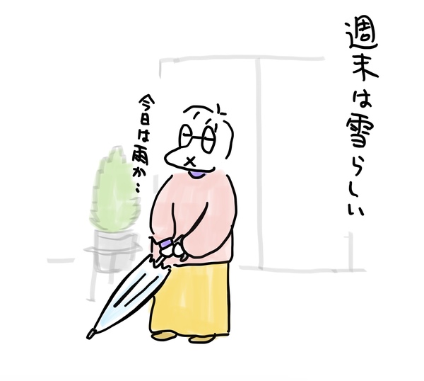 雨
