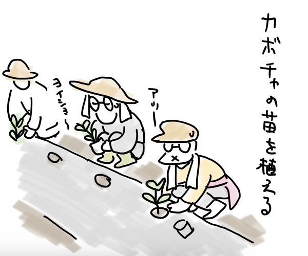 かぼちゃ