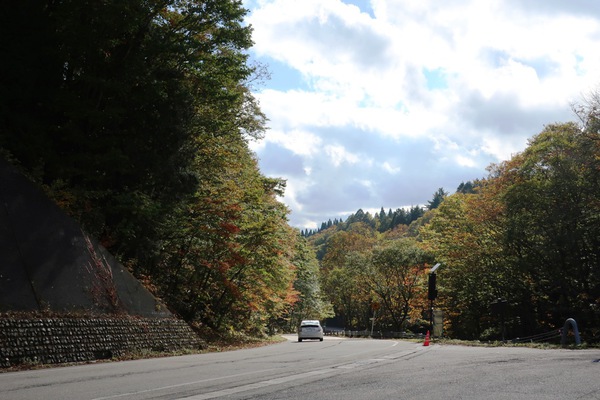 せせらぎ街道紅葉情報③