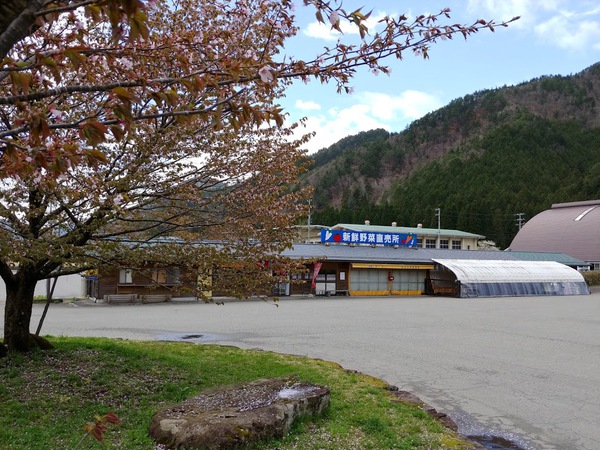 明日オープンです！
