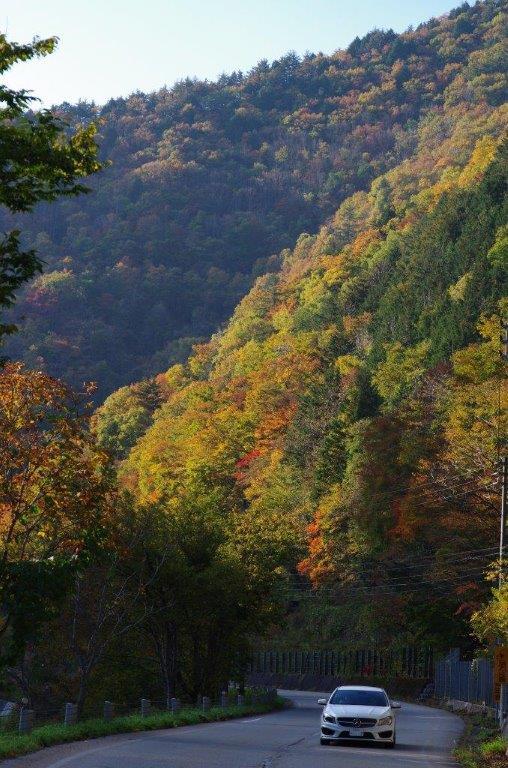 せせらぎ街道の紅葉
