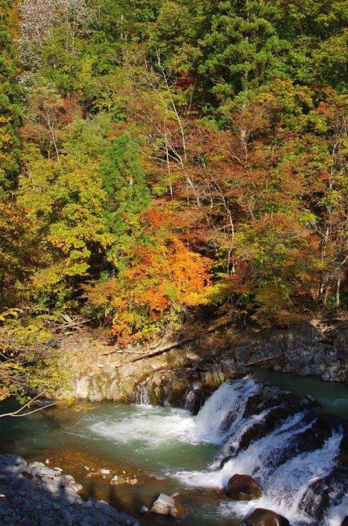 せせらぎ街道の紅葉