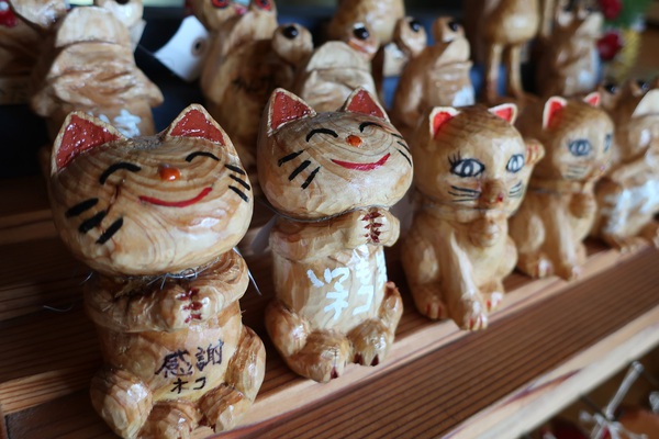 猫♡猫♡猫♡