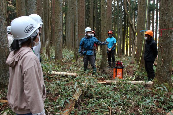 WONDERFULほかほか授業⑥伐採体験