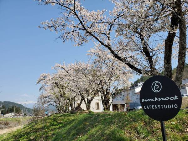 満開の桜を眺めながら…