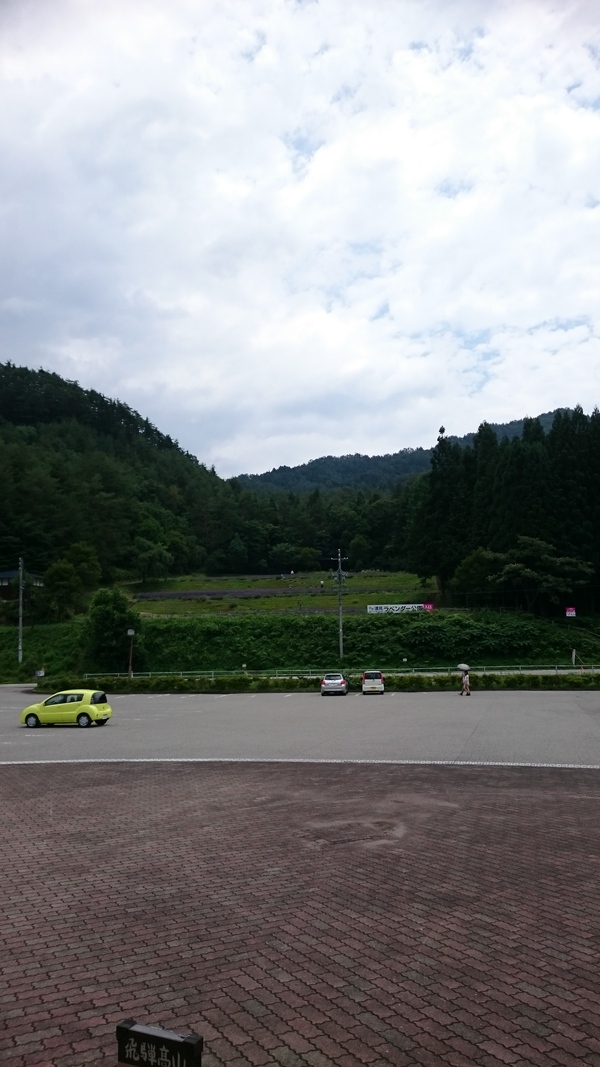 今日のラベンダー公園