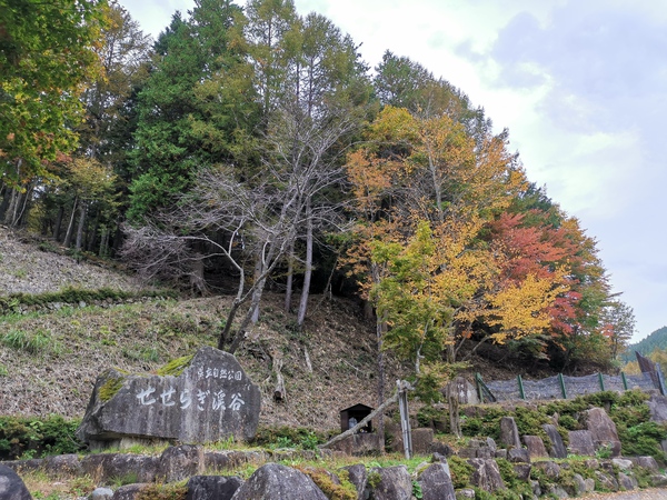 2019紅葉情報☆