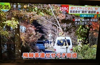 昨日のTVで…
