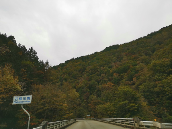 2019紅葉情報☆