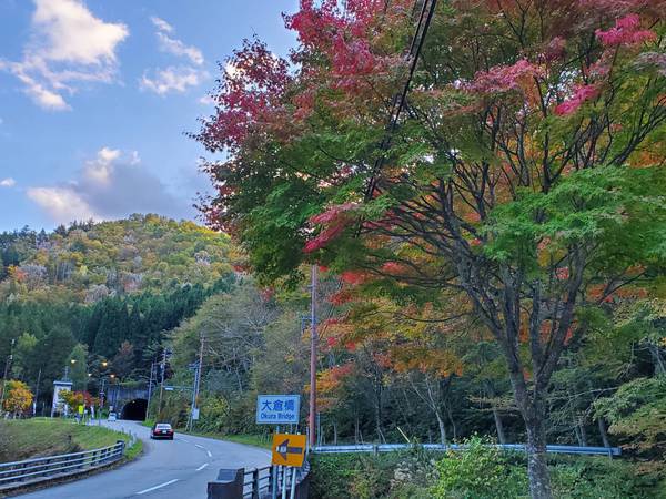 飛騨・美濃せせらぎ街道の紅葉情報③